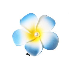 HUIHEYU Frangipani Flower Hair Clip Plastic Mid Size Gradient Flower Hairpins Ins Korean Style Girls Duckbill Clip Girls/Ladies