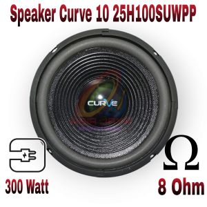 Speaker CURVE 10 Inch
