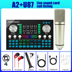 RAYHAYES A2 professional Live Sound Card Complete Set Original mini Mixer with U87 Condenser Microphone Kit recording studio equipment set for videokeRecordinglive streaming