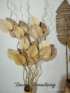 Dekorasi Pampas Rayung 3 ikat + Vas + Bunga kering Gratis 2 Bambu ulir