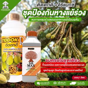 ชุดป้องกันหางแย้ร่วง ลดการหลุดร่วงของดอกหางแย้เฉียบพลัน ขั้วผลเหนียว ลดการหลุดร่วงของดอกและผล ด้วยติดดกดี จี6แมกซ์