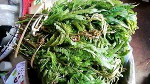 ใบส้มป่อยสดจากสวน400g..