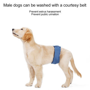 Male Dog Diaper Washable Physiological Belt Pet Hygiene Pants Pets Supplies