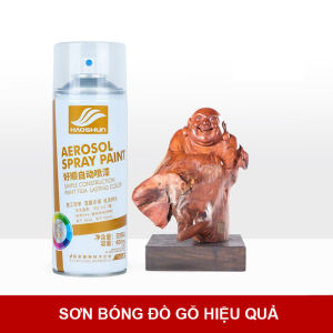 [LOẠI XỊN] Sơn Xịt Tay Ô tô Xe Máy Cao Cấp - Siêu Bóng Mịn Bám Dính Tốt - HAOSHUN Paint - SANTA SHOP ONE