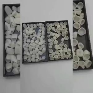Dental temporary crowns porcelain temporary crowns dental veneers anterior and posterior crowns oral crowns temporary crowns
