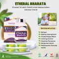 ETHERAL BHARATA ORIGINAL Obat Epilepsi Obat Ayan Obat Kejang. 