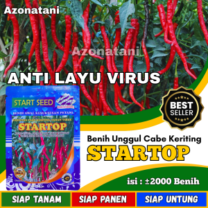 Benih cabe keriting STARTOP | Bibit cabe keriting unggul | benih cabe keriting merah | bibit cabe keriting tahan virus