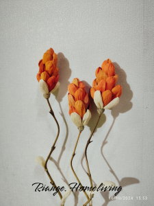 5 Bambu Ulir Natural Bunga Klobot Tangkai 1 Murah GRATIS 2 BAMBU ULIR