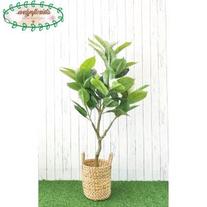 Pohon Artificial Pohon Imitasi Daun Magnolia Latex Cover Eceng Gondok Handle Dekorasi Ruangan Cafe Aesthetic