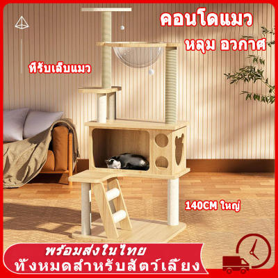 คอนโดแมว ใหญ่ แข็งแรง ไม่สั่นไหว สูง 140CM เสาลับเล็บ พร้อมโดมนอนแบบใส