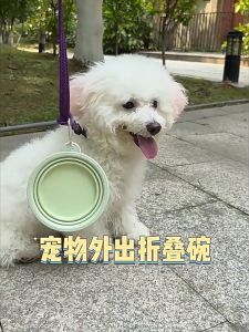Collapsible Pet Bowl Durable Silicone Foldable Bowl for Dogs and Cats