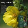Conditioner Easy to Use Droplet Green Relief of Sore Throat Effective Easy Absorption Natural. 
