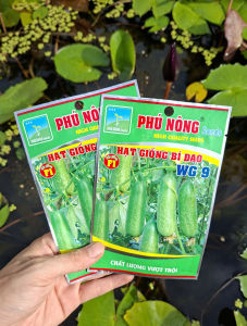 [THIEN THINH SHOP] Combo 2 Gói Hạt Giống Bí Đa-o WG9 của Phú Nông Kháng Bệnh Tốt Sinh Trưởng Khỏe Trái To Dài