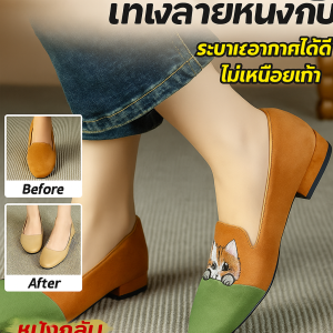 รองเท้าลําลองผู้หญิง รองเท้าผ้าใบ แมวฟรอสต์ รองเท้าลําลอง