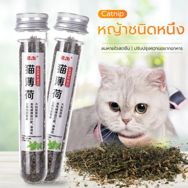 แคทนิปออร์แกนิคแบบหลอด 45ml สำหรับแมวผ่อนคลายลดเครียด