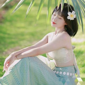 Spicyg traditional dress women batik dress for women [buy and get free frangipani] ethnic costume Dai suit tube top tube skirt travel photo shoot