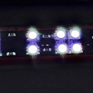 LED AQUARIUM PRO RED TANNING ARWANA (52cm) TANNING IKAN HIAS