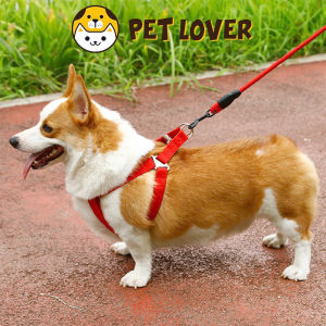 Dây dắt chó yếm dắt chó mèo chắc chắn siêu cute - Petlover