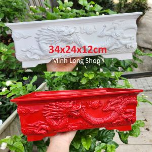 Combo 02/04 Chậu Bonsai Rồng Bền Đẹp Và Sang Trọng Trồng Hoa Kiểng Màu Trắng Đỏ Nâu