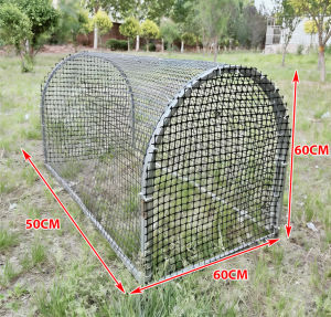 GreenPets Outdoor Chicken Cage Chicken Coop 200cm Elevated Metal Stand Thickened Encrypted Mesh Escape-Proof Predator-Proof Rustproof  Poultry Coop