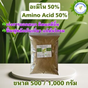 อะมิโน แอซิด กรดอะมิโนสำหรับพืช Amino Acid Powder บำรุงโครงสร้างใบ ดอก ผล ยืดช่อ ขนาด 500/1000 กรัม
