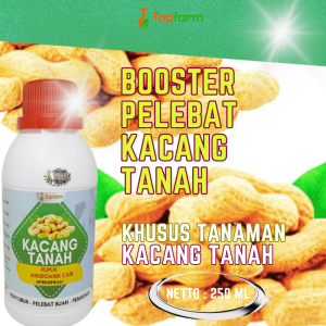 Pupuk Pelebat Buah Kacang Tanah / Pupuk Pembesar Umbi Kacang Tanah / Pupuk Buah Untuk Kacang Tanah / Pupuk Cair Buat Kacang Tanah / Pupuk Kacang Tanah