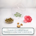 花西子 Florasis Ginseng Nourishing Lip Mask (Classic) – Exfoliating, Smoothing & Hydrating Treatment 6g. 