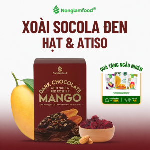 Xoài Sấy Dẻo Nhúng Socola Đen Phủ Hạt Và Hoa Atiso NONGLAMFOOD Trái Cây Sấy Đồ Ăn Vặt Hộp 120g