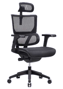 TAKEASEAT | VISION Ergonomic Office Chair Unique Lumbar Support Fully Ventilated Mesh Petite Size User 140cm Tall Onward