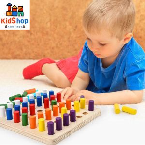 Montessori Sensory Colour Stick Toy Kid Early Education Toy Wooden Toy Colour Sorting Fine Motor skill