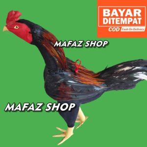 BONEKA AYAM JAGO - BONEKA AYAM ADUAN WARNA MERAH