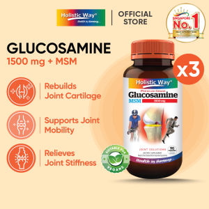 [Bundle of 3] Holistic Way Glucosamine 1500mg + MSM – Supports Joint Mobility Rebuilds Cartilage & Reduces Stiffness — Vegan (90 Capsules per bottle)