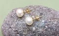 Fashionable Stainless Pearl Earrings, Different Sizes, 1 Pair. 