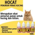 Hocat Obat Penurun Demam Panas Pada Kucing. 