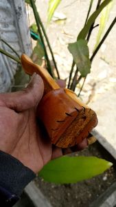 Gulungan Benang Kayu Joran: Pengertian & Manfaat