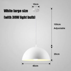 Single Head Chandelier Living Room Restaurant Bedroom Ceiling Light Black White Pendant Lamp