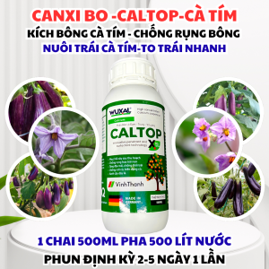 Phân bón lá Caltop 500ml (Đức) cho cà tím | Hạn chế rụng hoa rụng trái non chống thối đít trái trái dài bóng đẹp
