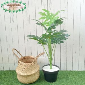 Pohon Hias Daun Papaya Leaf X12 Semi Latex Pot Dasar Hitam Cover Anyaman Purun Belly Handle Small Hiasan Ruang Tamu