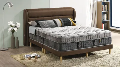 Dreamland Chiro Amethyst Sensotic 13-Inches Premium Mira-Coil / Solid Spring Mattress / Mattress / Tilam / Tidur Nap Bed Mattress With 10 Years Warranty