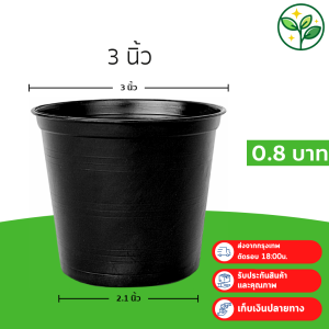 กระถาง กระถางต้นไม้ กระถางพลาสติก เบอร์ 3 นิ้ว สีดำ Bundle 100 ใบ ชิ้น อัน