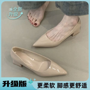 Free Shipping Stunning WomenS 2026 New Collection: Chunky-Heeled Patent Leather Pointed-Toe Elegant Shallow-Cut Nude-Colored High Heels