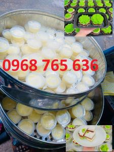 Nồi hấp bánh FLAN Xửng hấp Caramen Công nghiệp 52cm Chạy Điện Gia Đình Inox Cao Cấp [TẶNG DỤNG CỤ VỆ SINH NỒI]