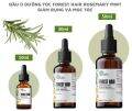 Dầu ủ dưỡng tóc FOREST HAIR Rosemary Mint Scalp and Hair Oil chai 10ml. 