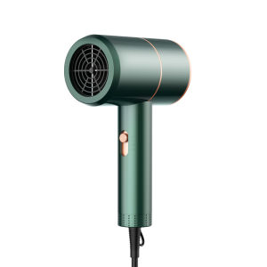 Dreepor Professional Hair Dryer Blu-ray Anion hair dryer Blowdry Hair Kit Hair Essentials Blower Household Appliances