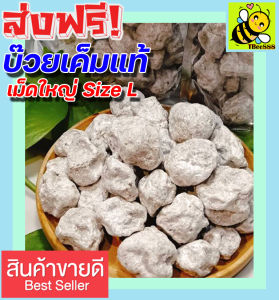 ส่งฟรี!! 500 กรัม บ๊วยเค็มแท้ ลูกใหญ่ บ๊วยเค็ม แอ๊ปเปิ้ล (ไซส์ L จัมโบ้ เม็ดใหญ่) บ๊วยฟรุ๊ตทาซี่ บ๊วยเค็มขาว มีเกร็ดเพชรแท้ บ๊วยทุกชนิด บ๊วยทุกชนิด บ๊วยเค็มอัดเม็ด บ๊วยซากุระ บ๊วยเค็มสีขาว บ๊วย สินค้าหายาก ราคาถูก PLUM