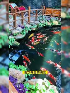【4807人好评】太阳能全自动喷泉户外鱼池庭院假山循环水泵增氧家用水缸喷水池