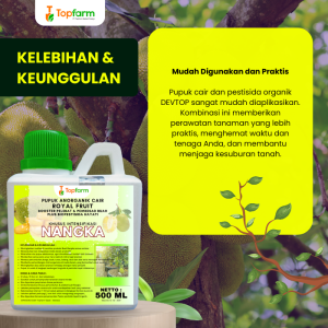 Pupuk Topfarm / Pestisida Topfarm / Pupuk Anti Perontok Bunga Nangka / Pupuk Perekat Buah Nangka / Obat Hama Buah Nangka / Obat Hama Pohon Nangka / Obat Hama Batang Pohon Nangka / Obat Hama Untuk Daun Nangka