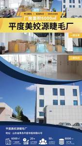 Eyelash Segment False Eyelashes Upper Eyelashes Realistic Natural False Eyelashes Manga Effect Custom Processing [ Free Shipping ]