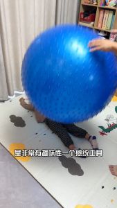 【45cm】Sensory Gym Ball Kids Yoga Massage Ball Anti Burst Sensory Training Balance Gym Sport