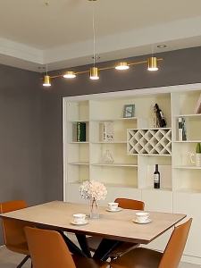 IGDL Modern LED Chandeliers & Pendant Lamps: A Comprehensive Guide